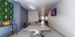 Millennium Waterway Gallery 27