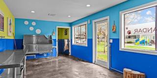 The Alexandar Gallery 13