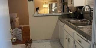 Spacious 3BR Condo in Bakersfield Gallery 8