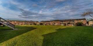 Sea Oats Sea Oats Gallery 25