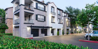 Villas at the Gardens Gallery 44