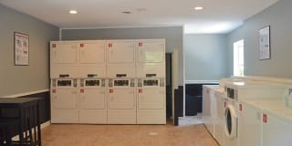 Cambridge Gallery 12