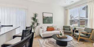 Canvas at Midlothian Gallery 7