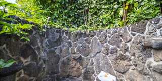 Tropical 4BR Gated Retreat w/ Sauna, Walk to Velzyland Beach Gallery 40