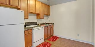 Conifer Grove Gallery 4