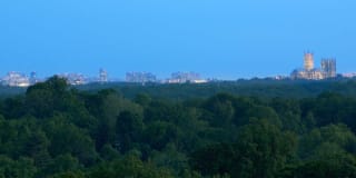 The Veridian Gallery 95