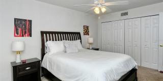1877 TOUCAN WAY Gallery 23