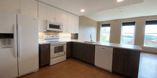 Red Oak at 83 Hanover Street Gallery 1