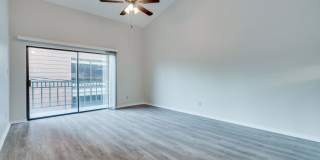 k670 - Buena Vista #306 Gallery 8