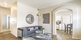 Diamond Vista Gallery 15