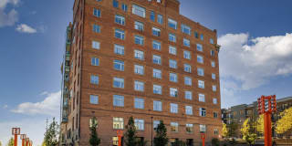 Greenhouse Gallery 65