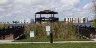 105 Lake Emerald Dr Gallery 13