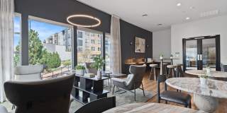 Element 47 by Windsor Gallery 4