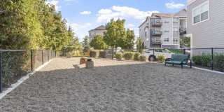 Element 170 Gallery 2