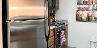 315 E 12th Ave #248 Gallery 5