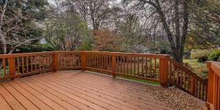Charming, Renovated Bungalow in NW DC Tenley Area Gallery 39