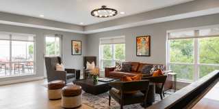 The Aurilla Gallery 51