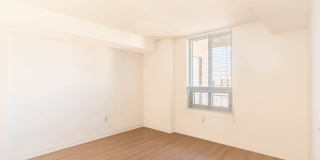 The Veridian Gallery 41