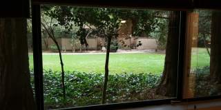 Lovely 1bd. Ground-Level Condo in Cotati Gallery 18