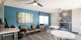 Lakeview Village Gallery 13