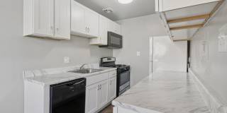 Swift at Riverdale Park Gallery 56