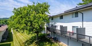 The Nelson Gallery 25