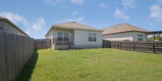 5418 Cicada Gallery 18