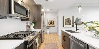 The Campbell Gallery 16