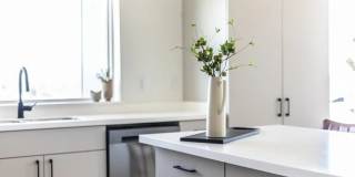 The BLU The BLU Gallery 17