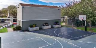 Callaway Apartments Gallery 36