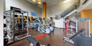 Modera 44 Gallery 19