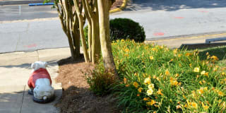 University Garden Apartment Homes Gallery 33