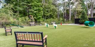 Balsam Place Gallery 6