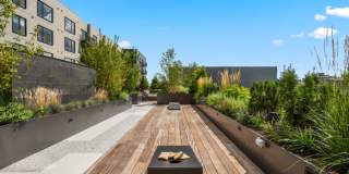 Alder at Allston Yards Gallery 12