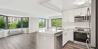 Half Moon Harbour Gallery 8