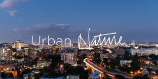 Tellus Apartments Gallery 55