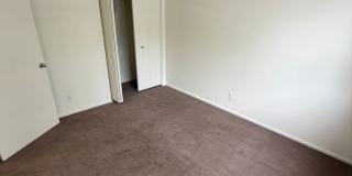 (343) Palatine Apartment  1 Bdrm / 1 Bthrm Gallery 5