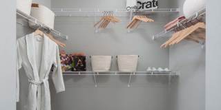 Alta Davis Gallery 6