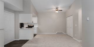Novela Gallery 20