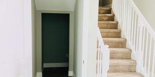 14476 Spruce Pine Drive Gallery 21