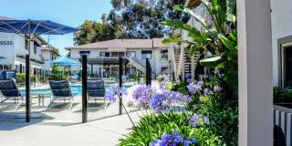 La Jolla Canyon Gallery 28
