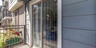 Villas del Zocalo 4 Gallery 26