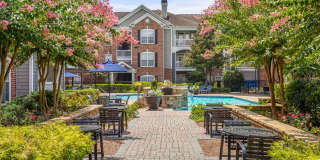 Verdant Peachtree Creek Gallery 12