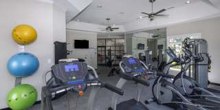 Whitehall Estates Gallery 7