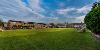 Sea Oats Sea Oats Gallery 26