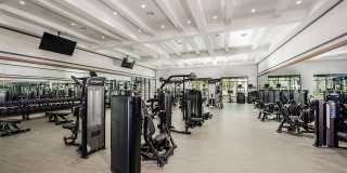 Northhaven Gallery 13