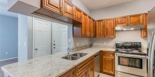 13015 SANCTUARY COVE DRIVE Gallery 12