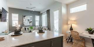 Montgomery at Rancho Mercado Gallery 19