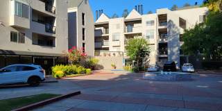 Spacious 1 Bedroom with great walking score Gallery 1