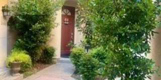 123 Pasto Rico Gallery 1